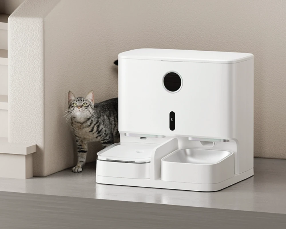 automatic dog feeder and water