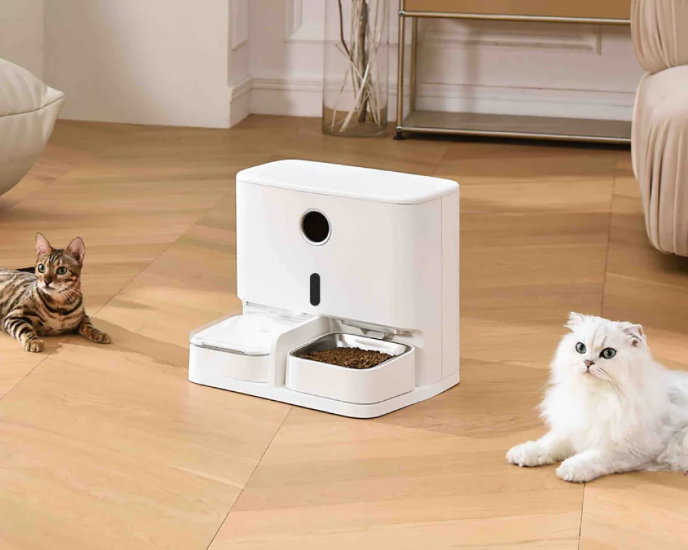 automatic dog feeder and water